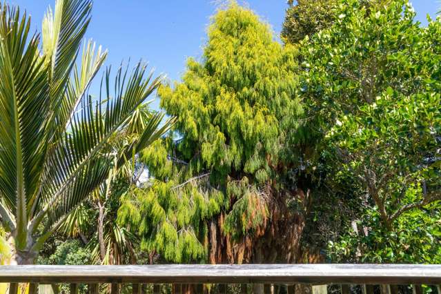 11B Norrie Avenue Raglan_2