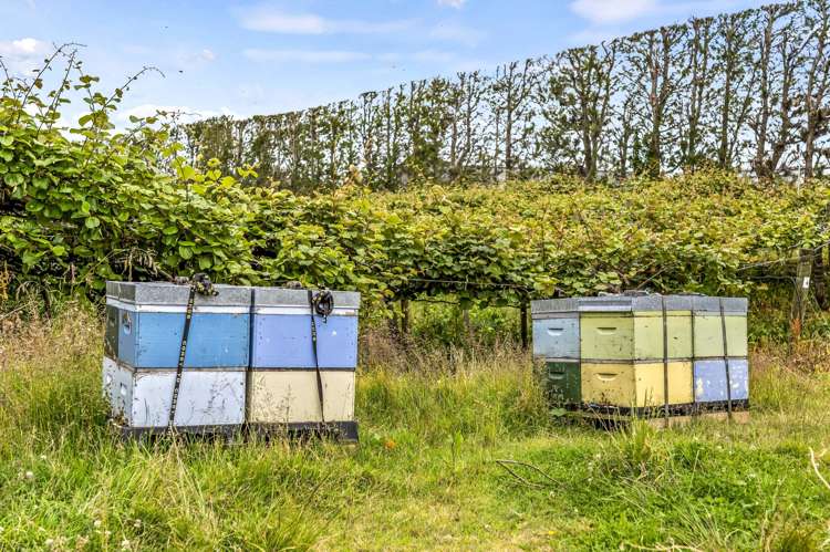 37 and 41 Taurangaruru Road Waiuku_7