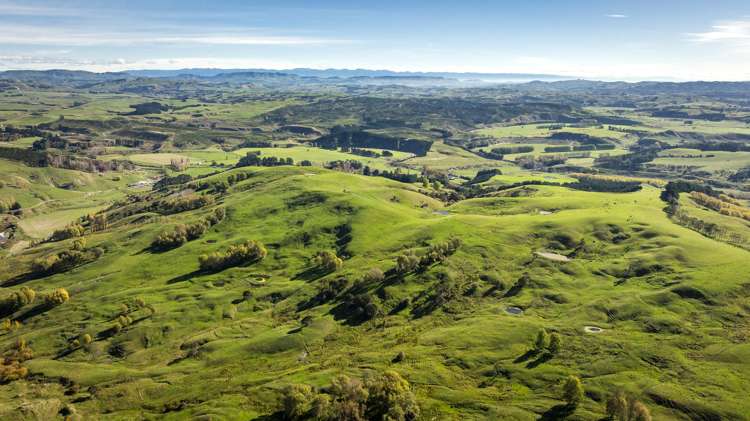 3503 Porangahau Road Porangahau_25