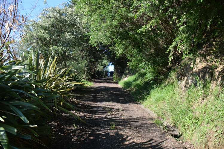 133 Wainui Main Road French Farm_7