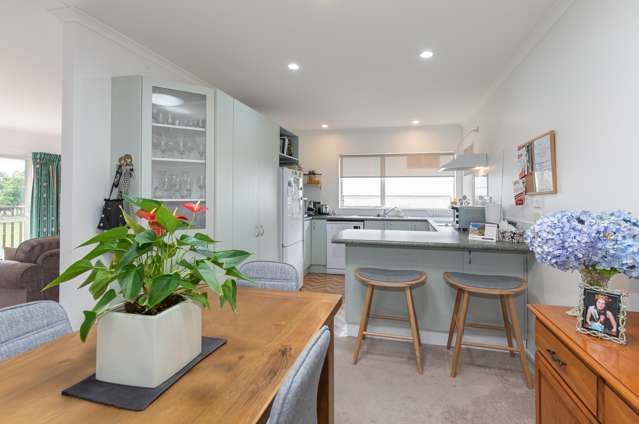 1 Willowdale, Aparangi Village Te Kauwhata_1