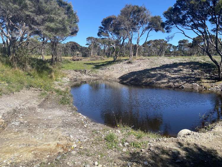 Lot 3/161 Wharariki Road Puponga_6