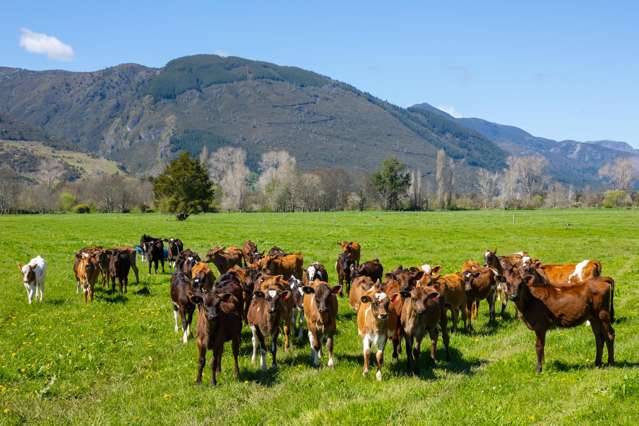 1436 Takaka Valley Highway East Takaka_1