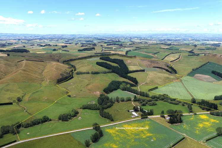 289 Otama Valley Road_0