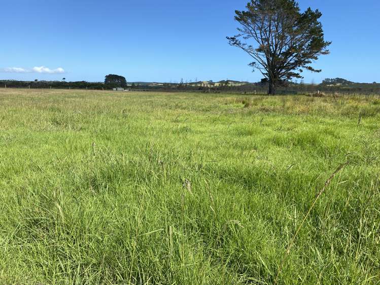 233 Heath Road Awanui_0