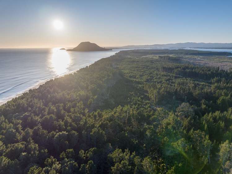 205 Matakana Island, 148 HA Matakana Island_16