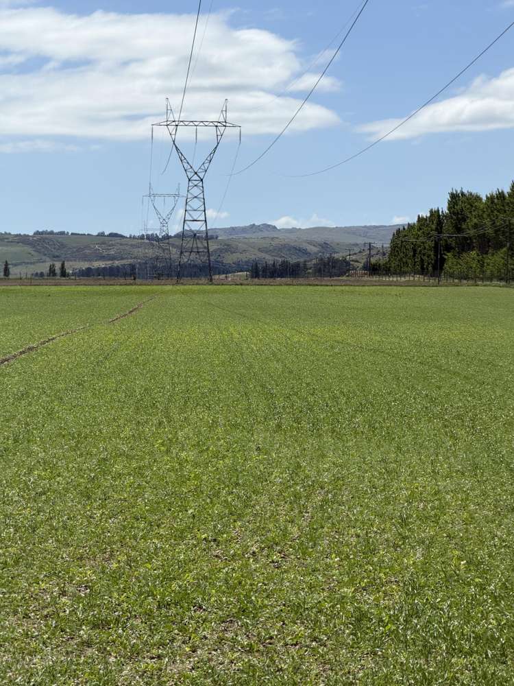 Kinaston Road, Roxburgh East Roxburgh_11