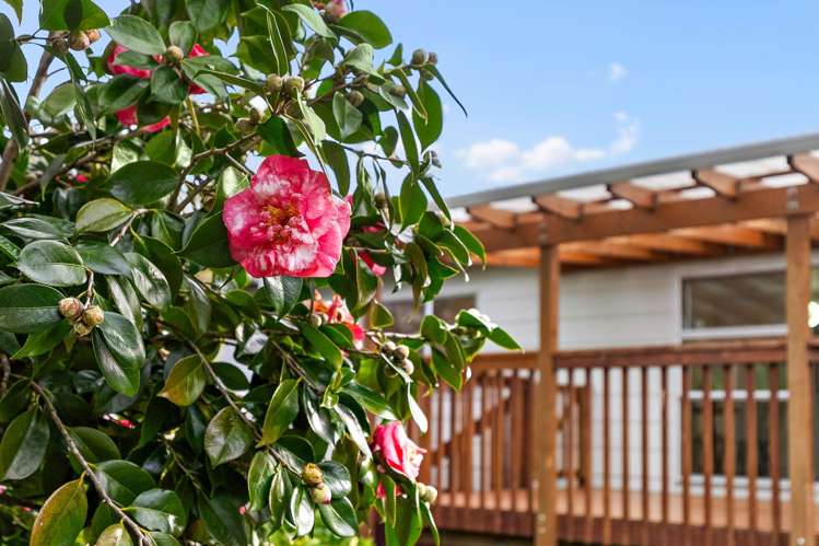 49 Red Beach Road Red Beach_14