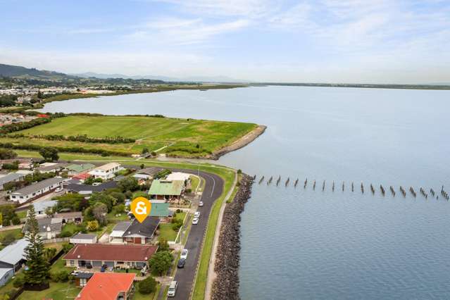 435 Fergusson Drive Thames_2