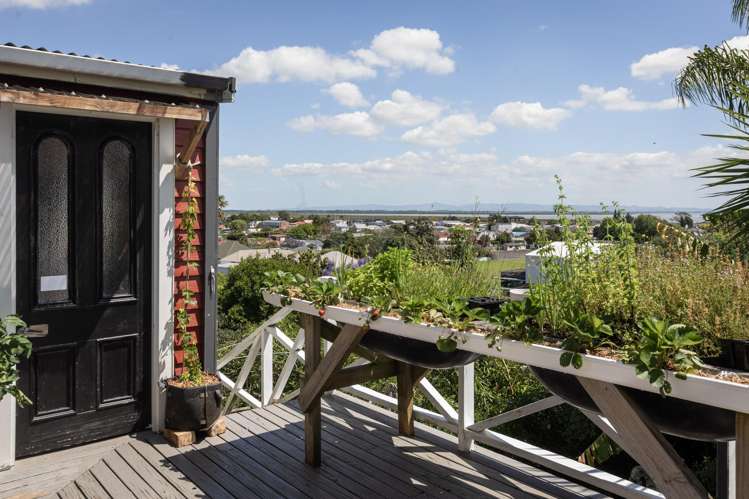 504 Sealey Street Thames_15