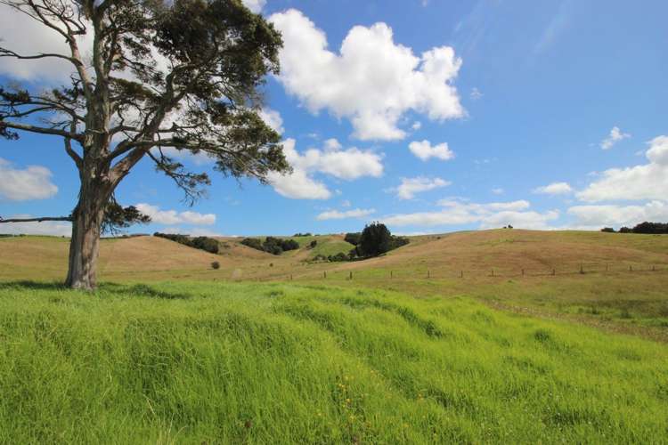 56 Sandford Road Ruakaka_9