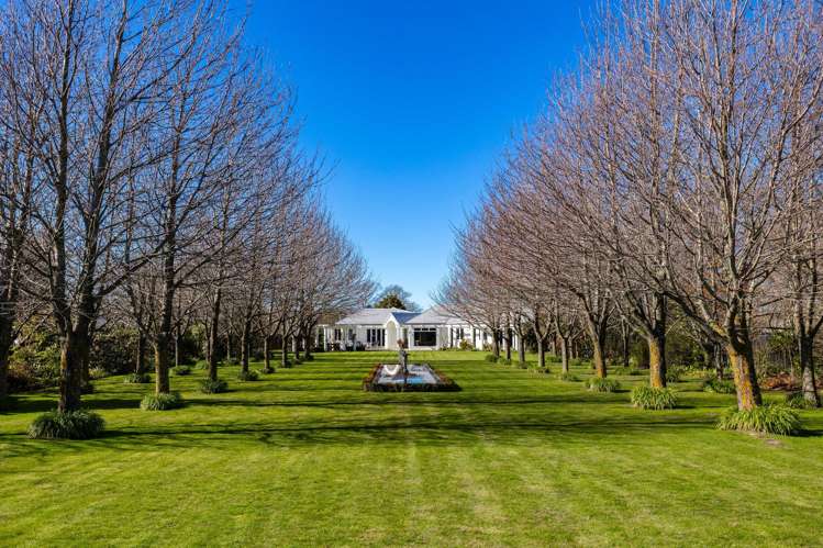 75 Colemans Road Springlands_21