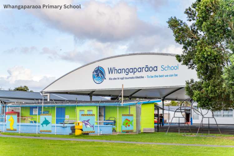 8a Ladies Mile Manly_15