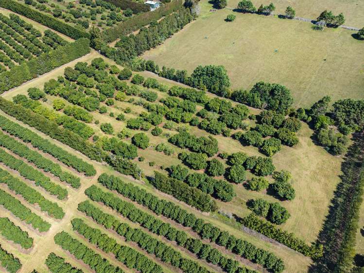 88 Stone Wall Rse Maungatapere_13