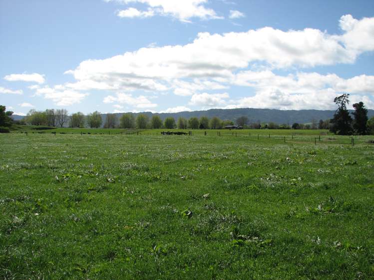 221 Tower Road Matamata_9