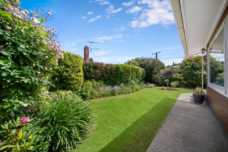 8 Watson Street Green Island_17