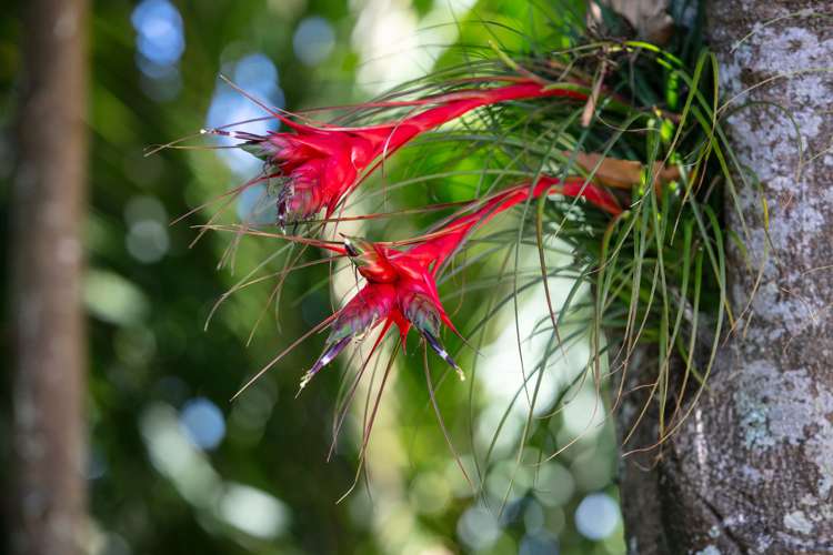 111 Old Reservoir Road Karangahake_20