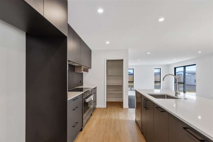 54 Catherine Street Tinwald_3