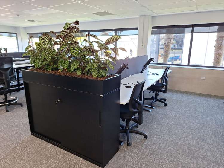 Lot Levels 1-8/167 Devon Street West New Plymouth Central_14