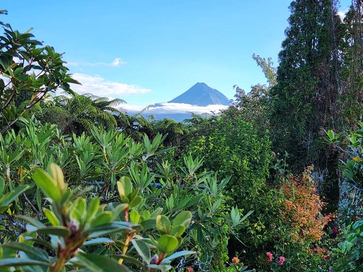 323 Dudley Road Upper Inglewood_16