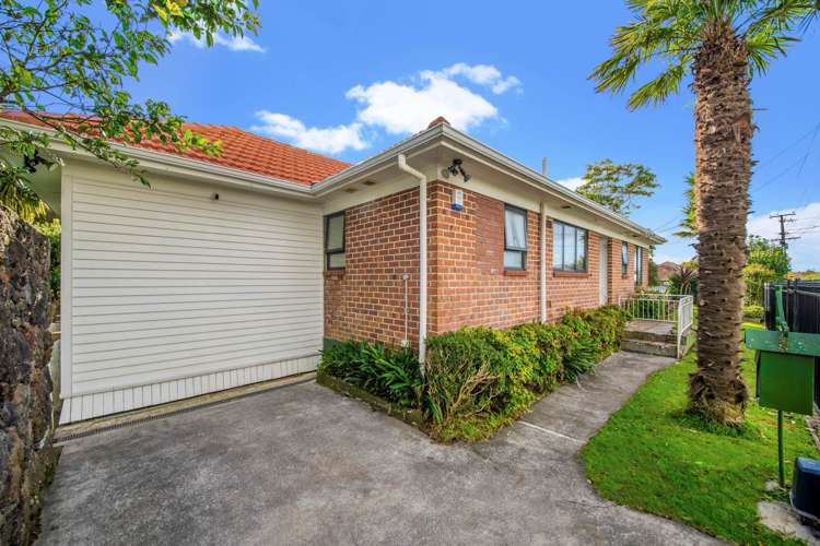 18 Martin Avenue Mount Albert_16