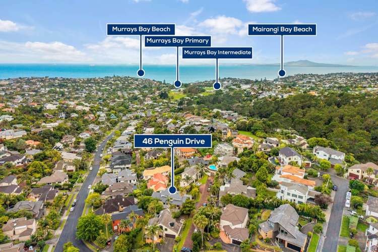 46 Penguin Drive Murrays Bay_25