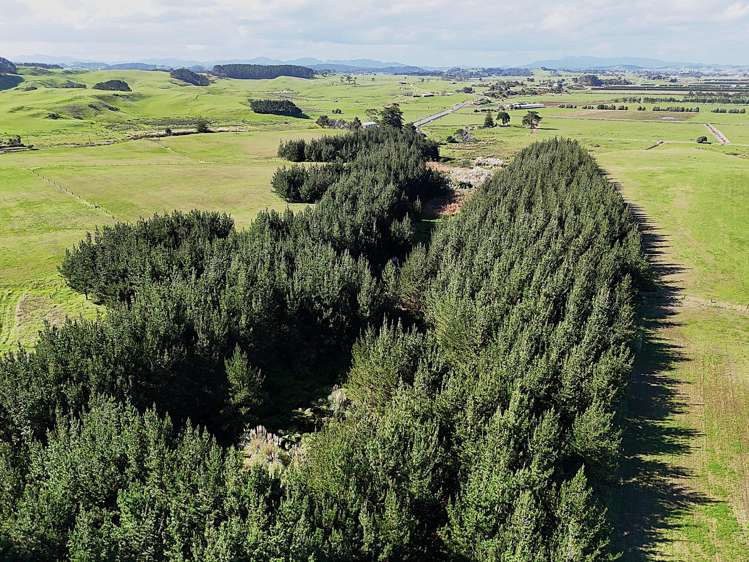 413A Baylys Coast Road Dargaville_10