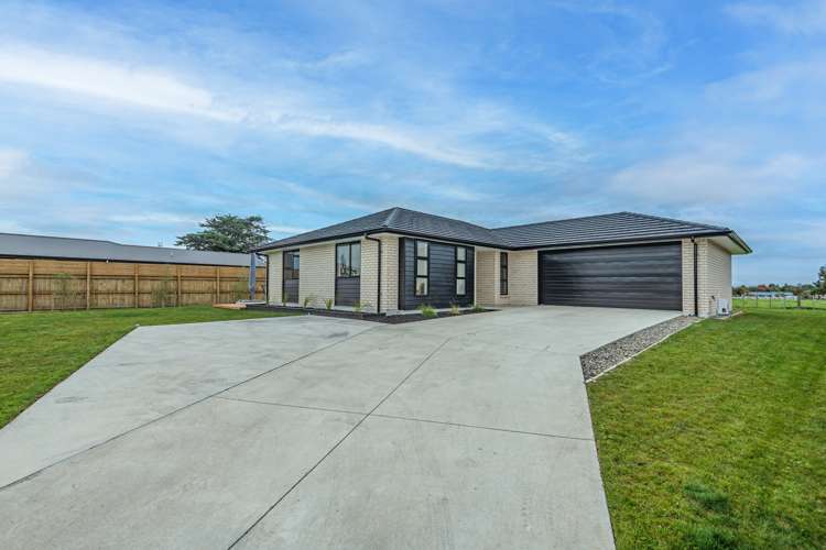 23 George Street Bulls_13