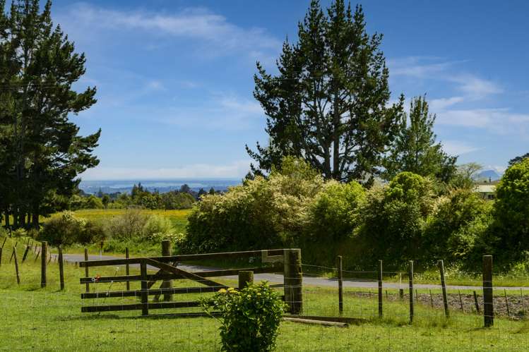 320 Glue Pot Road Oropi_20