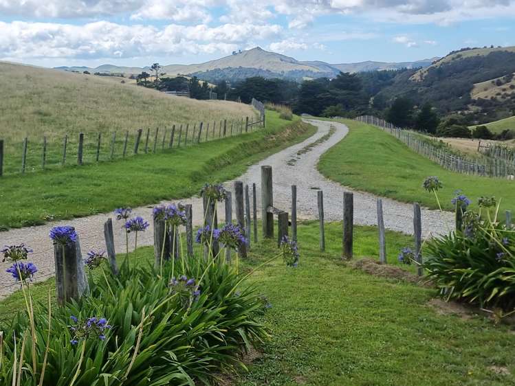 4820 Pahiatua Pongaroa Road Pongaroa_29