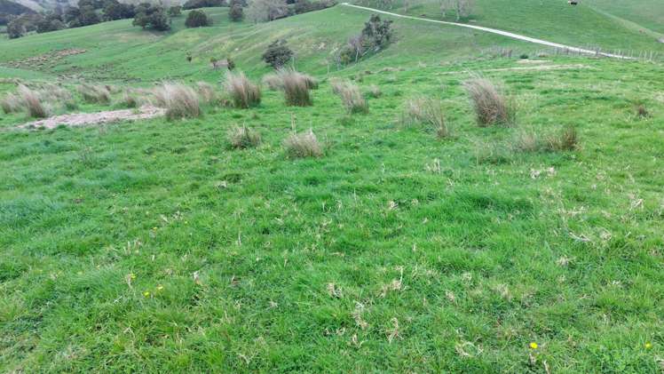 156 Marohemo Road Maungaturoto_16