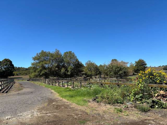 219 Morley Road Glenbrook_3