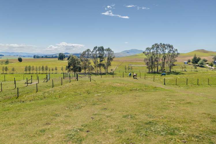 Lot 2, 199 Elsthorpe Road Otane_13