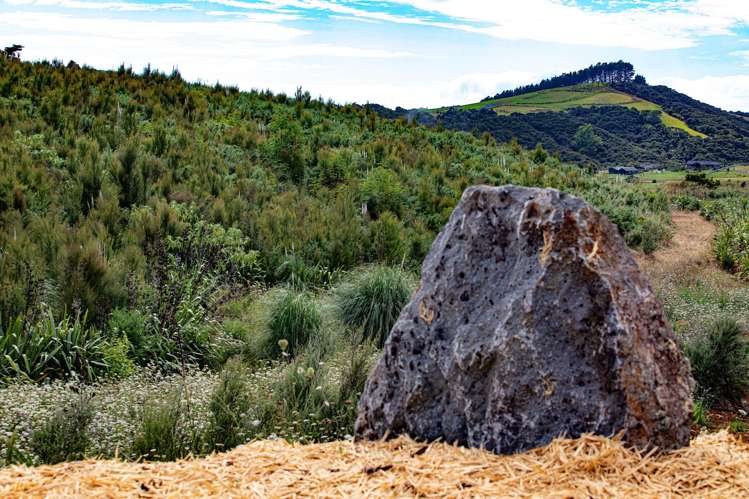 Lots 10-24 54a Redcliffs Road Kerikeri_6