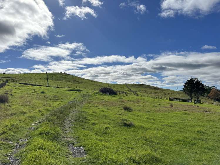 Lot 1 Donald Rd Kaitaia_0