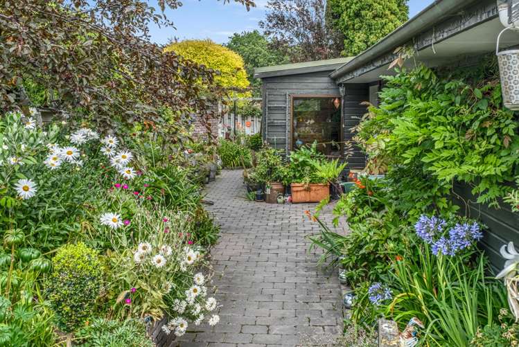 57 Brandon Street Alexandra_17