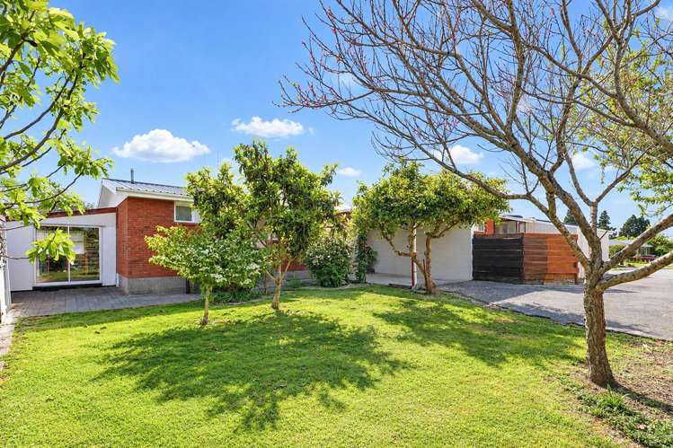 26 Cedar Grove Matua_20