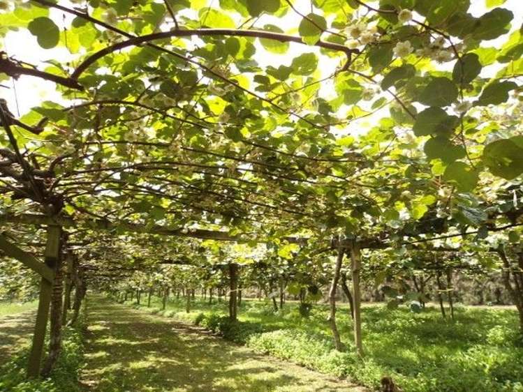 71 Waihi Beach Road Waihi_3