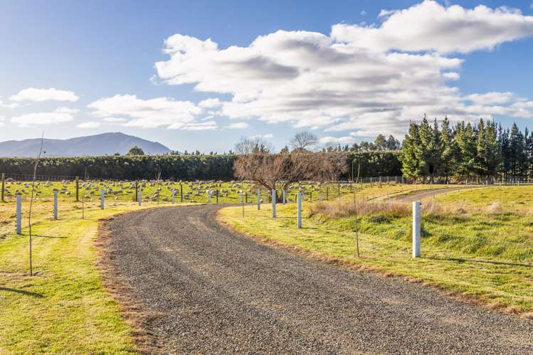 226 Loburn Terrace Road Loburn_21