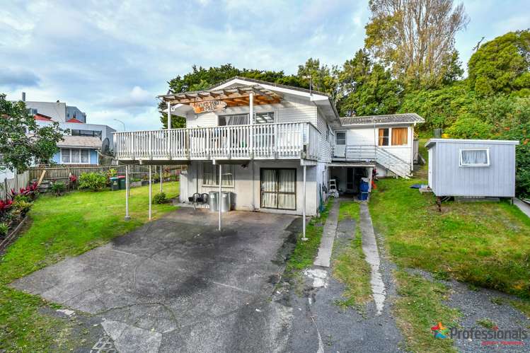 14 Domain Road Panmure_6