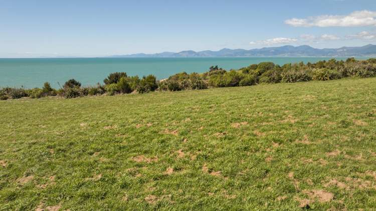 45 Deck Road Tasman_16