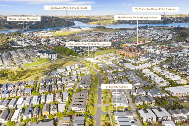 61 Buckley Avenue Hobsonville_18