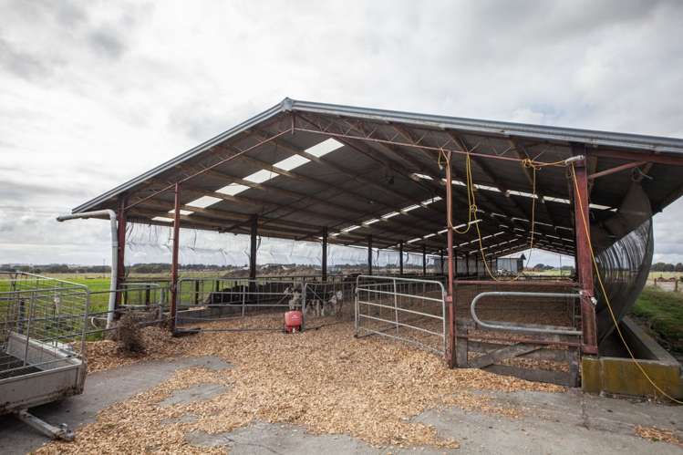 1228 Rangitikei Line Newbury_8