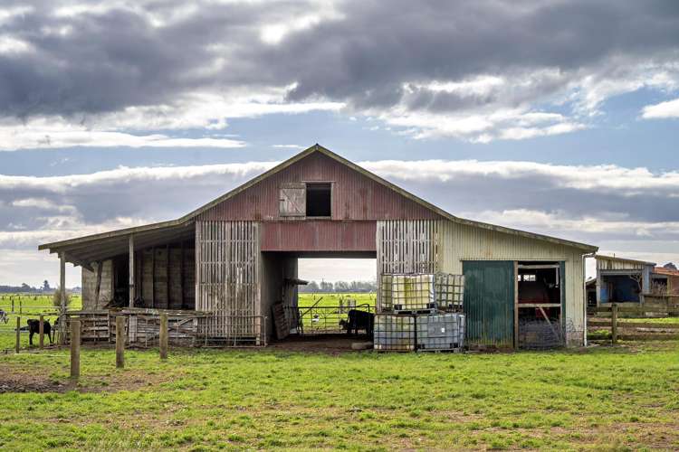 Brooklyn Farm, 126 McGinley Road Opotiki_12