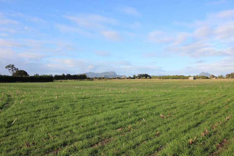 49 Takahiwai Road Ruakaka_11