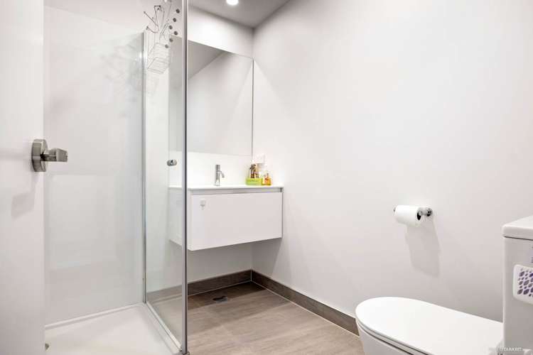 10 Clay Works Lane New Lynn_6