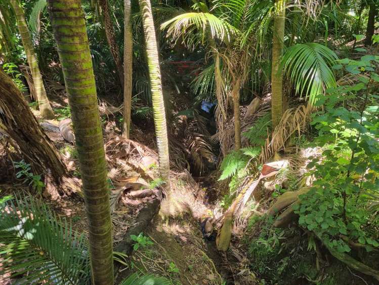 21 Glen Brook Road Waiheke Island_7