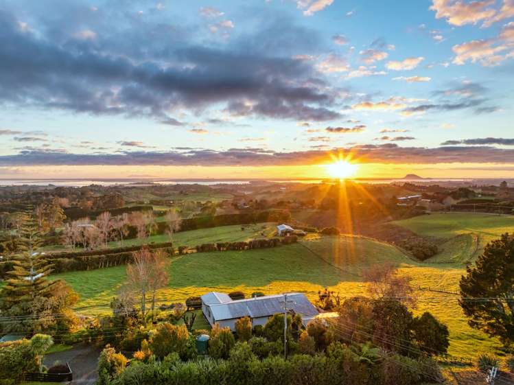 533 Wainui South Road Whakamarama_5