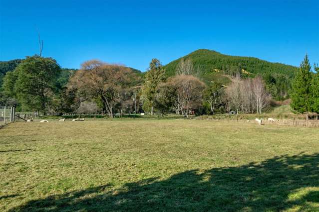 861 Onamalutu Road Wairau Valley_2