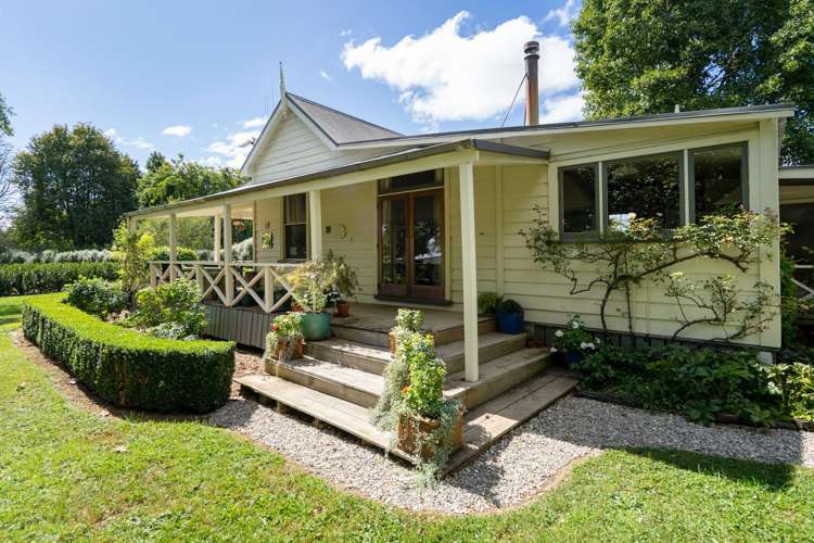 4/191 Racecourse Road Cambridge_16